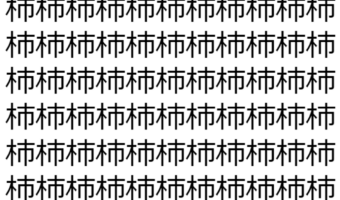 【脳トレ】「杮」の中に紛れて1つ違う文字がある！？あなたは何秒で探し出せるかな？？【違う文字を探せ！】