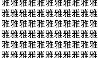 【脳トレ】「雅」の中に紛れて1つ違う文字がある!?あなたは何秒で探し出せるかな??【違う文字を探せ!】