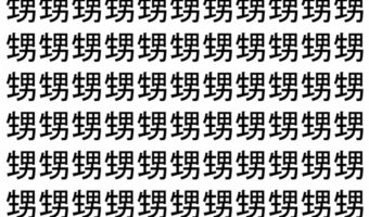 【脳トレ】「甥」の中に紛れて1つ違う文字がある!?あなたは何秒で探し出せるかな??【違う文字を探せ!】