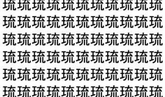 【脳トレ】「琉」の中に紛れて1つ違う文字がある！？あなたは何秒で探し出せるかな？？【違う文字を探せ！】