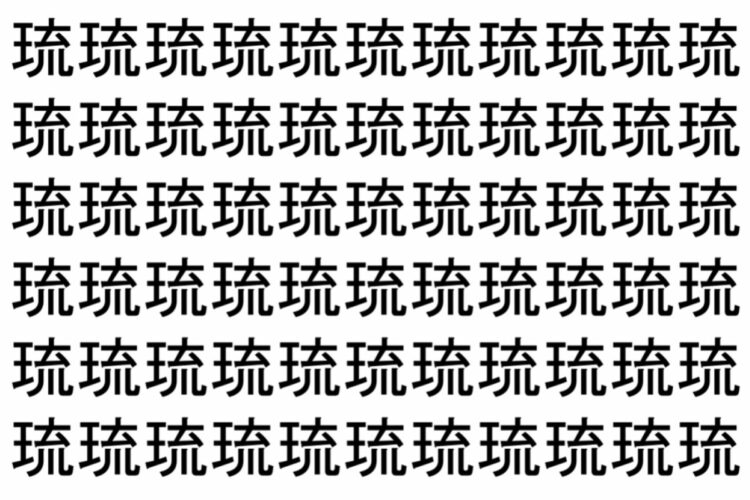 【脳トレ】「琉」の中に紛れて1つ違う文字がある！？あなたは何秒で探し出せるかな？？【違う文字を探せ！】