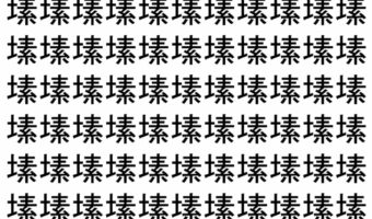 【脳トレ】「塐」の中に紛れて1つ違う文字がある!?あなたは何秒で探し出せるかな??【違う文字を探せ!】