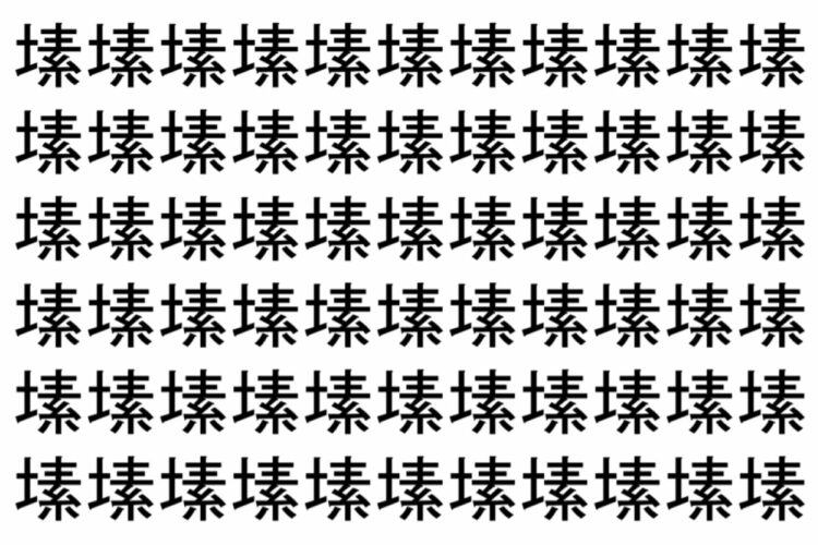 【脳トレ】「塐」の中に紛れて1つ違う文字がある！？あなたは何秒で探し出せるかな？？【違う文字を探せ！】