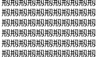 【脳トレ】「剏」の中に紛れて1つ違う文字がある！？あなたは何秒で探し出せるかな？？【違う文字を探せ！】