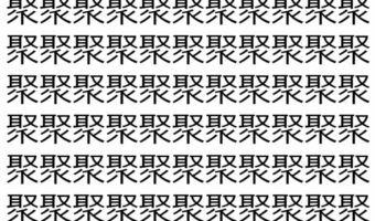 【脳トレ】「聚」の中に紛れて1つ違う文字がある!?あなたは何秒で探し出せるかな??【違う文字を探せ!】