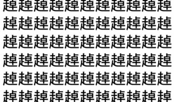 【脳トレ】「趠」の中に紛れて1つ違う文字がある！？あなたは何秒で探し出せるかな？？【違う文字を探せ！】