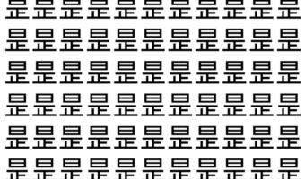 【脳トレ】「昰」の中に紛れて1つ違う文字がある!?あなたは何秒で探し出せるかな??【違う文字を探せ!】