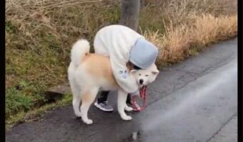 寒すぎて散歩中の愛犬で暖を取る女の子。そんなふたりの姿に「かわいすぎる」「犬もうれしそう」