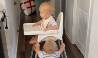 ハイチェアに乗って家の中を移動していく進む赤ちゃん。その足元には双子の相棒がいますが・・【海外・動画】