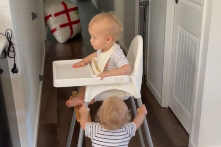 ハイチェアに乗って家の中を移動していく進む赤ちゃん。その足元には双子の相棒がいますが・・【海外・動画】