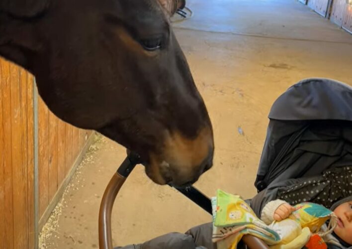 馬が赤ちゃんをあやしてる！？全力のべろべろば～！に赤ちゃんは・・【海外・動画】