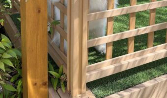 サモエドがお出かけする家族をお見送りしているけれど・・「抗議の顔してる」「後ろ髪引かれるどころか鷲掴みされます」