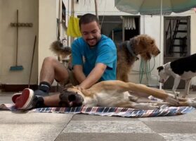 犬をわしゃわしゃ。楽しく遊んでいたら・・まさかのハプニング！！【海外・動画】