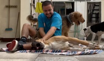 犬をわしゃわしゃ。楽しく遊んでいたら・・まさかのハプニング!!【海外・動画】