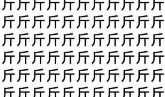 【脳トレ】「斤」の中に紛れて1つ違う文字がある！？あなたは何秒で探し出せるかな？？【違う文字を探せ！】