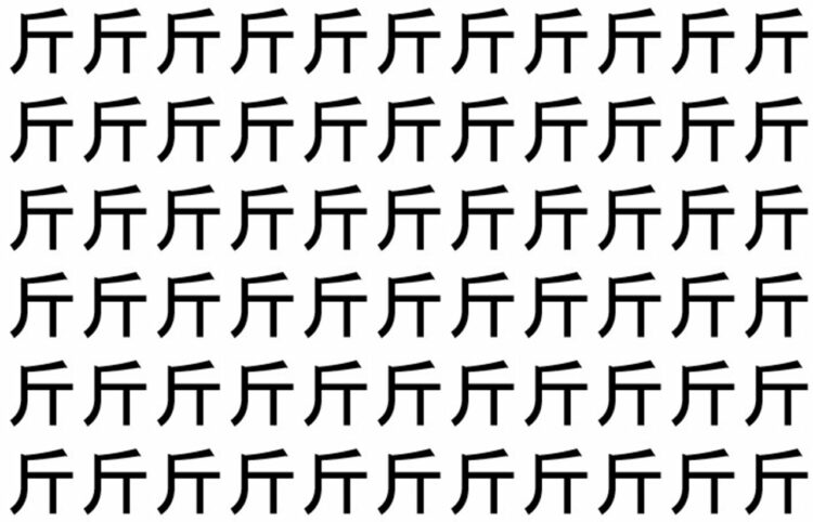 【脳トレ】「斤」の中に紛れて1つ違う文字がある！？あなたは何秒で探し出せるかな？？【違う文字を探せ！】