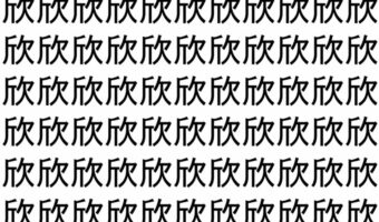 【脳トレ】「欣」の中に紛れて1つ違う文字がある！？あなたは何秒で探し出せるかな？？【違う文字を探せ！】