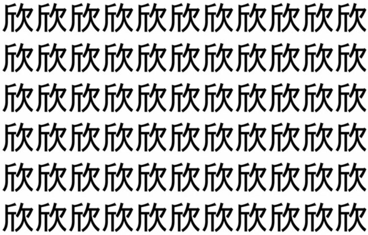【脳トレ】「欣」の中に紛れて1つ違う文字がある！？あなたは何秒で探し出せるかな？？【違う文字を探せ！】