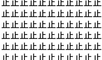 【脳トレ】「止」の中に紛れて1つ違う文字がある!?あなたは何秒で探し出せるかな??【違う文字を探せ!】