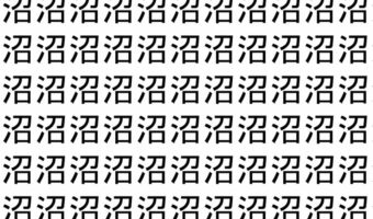 【脳トレ】「沼」の中に紛れて1つ違う文字がある！？あなたは何秒で探し出せるかな？？【違う文字を探せ！】