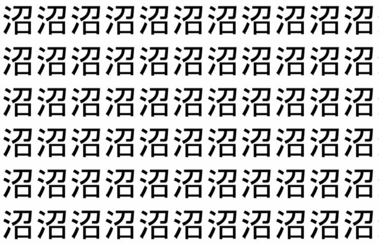 【脳トレ】「沼」の中に紛れて1つ違う文字がある！？あなたは何秒で探し出せるかな？？【違う文字を探せ！】