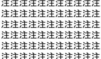 【脳トレ】「注」の中に紛れて1つ違う文字がある!?あなたは何秒で探し出せるかな??【違う文字を探せ!】