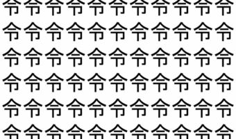 【脳トレ】「令」の中に紛れて1つ違う文字がある！？あなたは何秒で探し出せるかな？？【違う文字を探せ！】