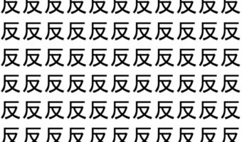 【脳トレ】「反」の中に紛れて1つ違う文字がある!?あなたは何秒で探し出せるかな??【違う文字を探せ!】