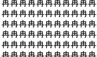 【脳トレ】「冉」の中に紛れて1つ違う文字がある!?あなたは何秒で探し出せるかな??【違う文字を探せ!】