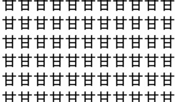 【脳トレ】「甘」の中に紛れて1つ違う文字がある！？あなたは何秒で探し出せるかな？？【違う文字を探せ！】