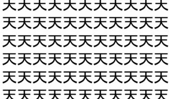 【脳トレ】「天」の中に紛れて1つ違う文字がある!?あなたは何秒で探し出せるかな??【違う文字を探せ!】