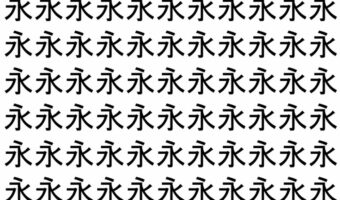【脳トレ】「永」の中に紛れて1つ違う文字がある!?あなたは何秒で探し出せるかな??【違う文字を探せ!】