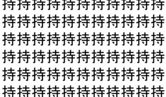 【脳トレ】「持」の中に紛れて1つ違う文字がある!?あなたは何秒で探し出せるかな??【違う文字を探せ!】