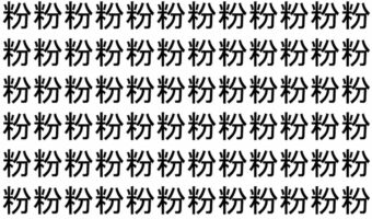 【脳トレ】「粉」の中に紛れて1つ違う文字がある!?あなたは何秒で探し出せるかな??【違う文字を探せ!】