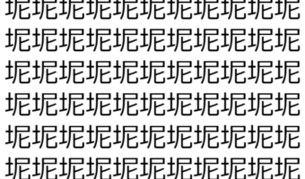 【脳トレ】「坭」の中に紛れて1つ違う文字がある!?あなたは何秒で探し出せるかな??【違う文字を探せ!】