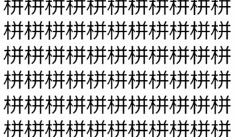 【脳トレ】「栟」の中に紛れて1つ違う文字がある!?あなたは何秒で探し出せるかな??【違う文字を探せ!】