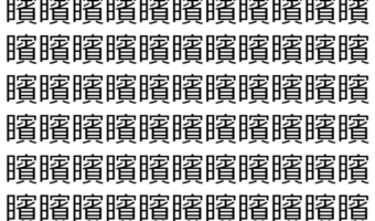 【脳トレ】「矉」の中に紛れて1つ違う文字がある!?あなたは何秒で探し出せるかな??【違う文字を探せ!】