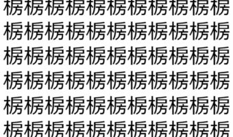 【脳トレ】「椖」の中に紛れて1つ違う文字がある!?あなたは何秒で探し出せるかな??【違う文字を探せ!】