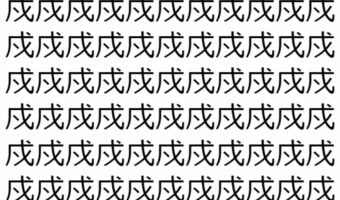 【脳トレ】「戍」の中に紛れて1つ違う文字がある!?あなたは何秒で探し出せるかな??【違う文字を探せ!】