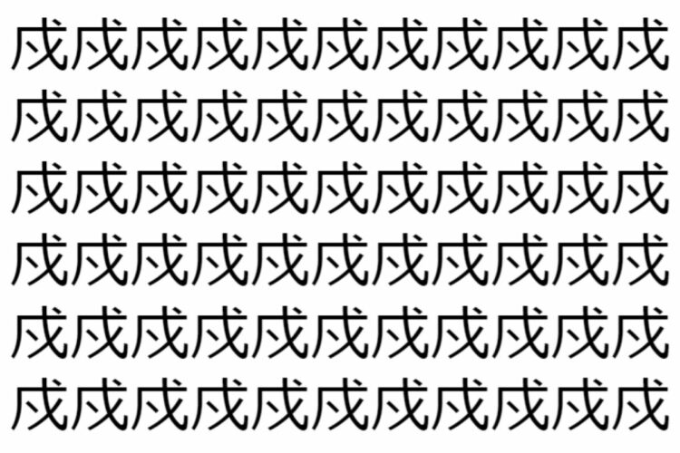 【脳トレ】「戍」の中に紛れて1つ違う文字がある！？あなたは何秒で探し出せるかな？？【違う文字を探せ！】