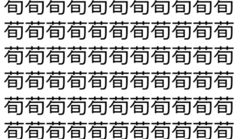 【脳トレ】「荀」の中に紛れて1つ違う文字がある!?あなたは何秒で探し出せるかな??【違う文字を探せ!】