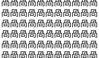 【脳トレ】「咼」の中に紛れて1つ違う文字がある！？あなたは何秒で探し出せるかな？？【違う文字を探せ！】