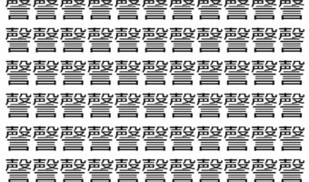 【脳トレ】「謦」の中に紛れて1つ違う文字がある！？あなたは何秒で探し出せるかな？？【違う文字を探せ！】