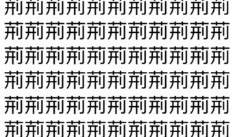【脳トレ】「荊」の中に紛れて1つ違う文字がある!?あなたは何秒で探し出せるかな??【違う文字を探せ!】