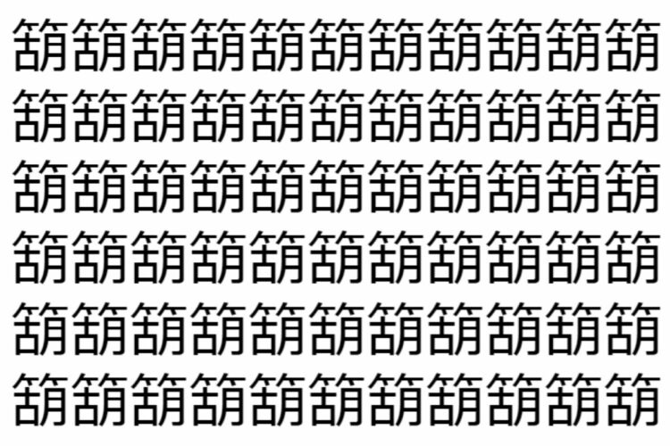 【脳トレ】「箶」の中に紛れて1つ違う文字がある！？あなたは何秒で探し出せるかな？？【違う文字を探せ！】