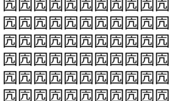 【脳トレ】「囥」の中に紛れて1つ違う文字がある!?あなたは何秒で探し出せるかな??【違う文字を探せ!】