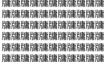 【脳トレ】「牗」の中に紛れて1つ違う文字がある!?あなたは何秒で探し出せるかな??【違う文字を探せ!】