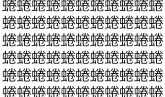 【脳トレ】「蜷」の中に紛れて1つ違う文字がある！？あなたは何秒で探し出せるかな？？【違う文字を探せ！】