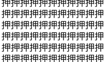 【脳トレ】「押」の中に紛れて1つ違う文字がある！？あなたは何秒で探し出せるかな？？【違う文字を探せ！】