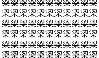【脳トレ】「鿄」の中に紛れて1つ違う文字がある!?あなたは何秒で探し出せるかな??【違う文字を探せ!】